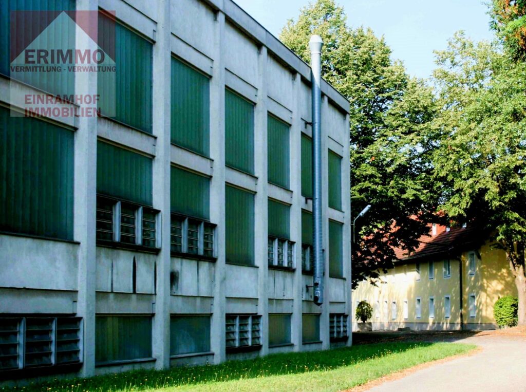 FRIN_Foto Halle_20250508_klein