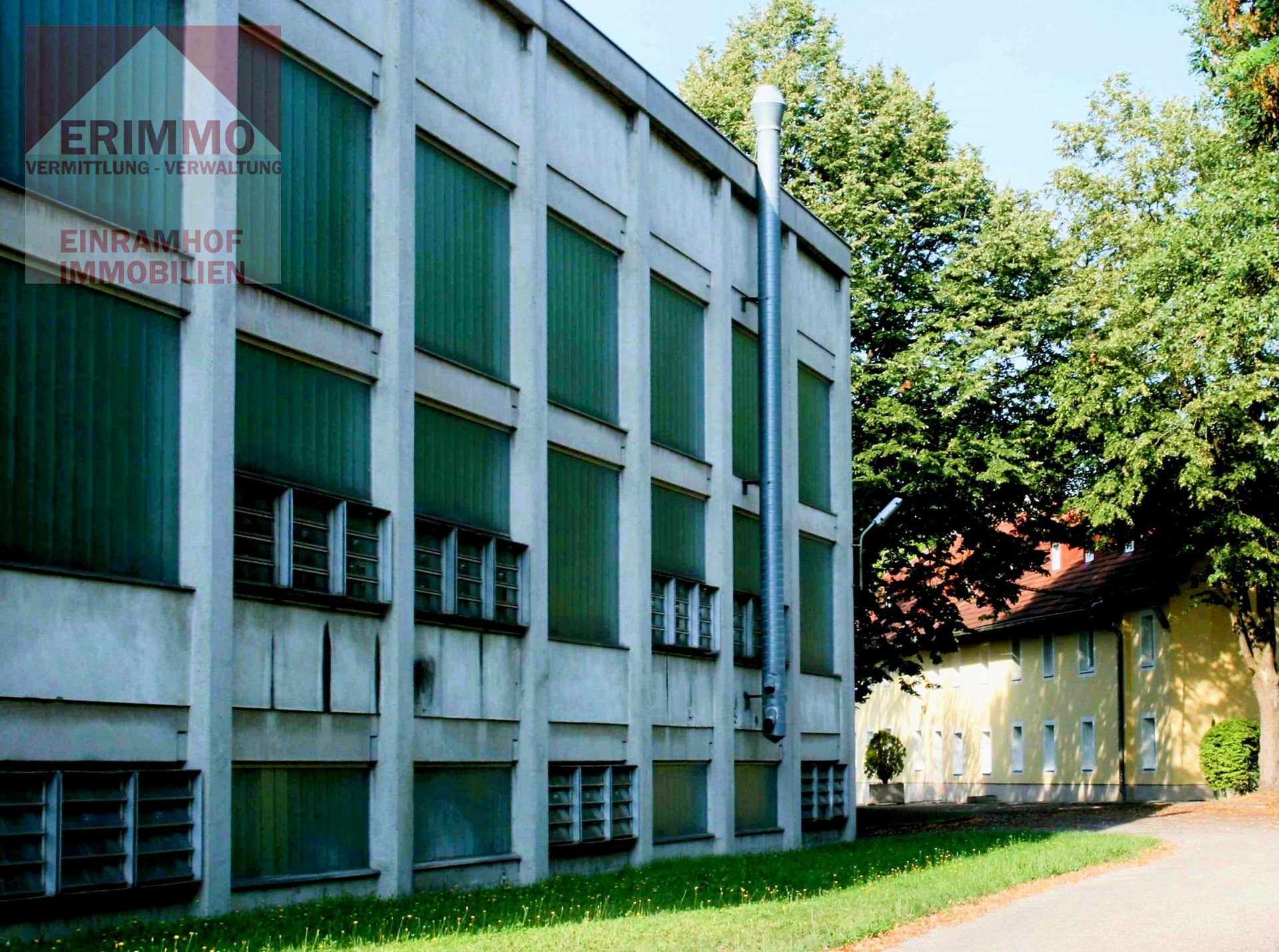 FRIN_Foto Halle_20250508_klein